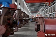 乐鱼官方站页面登录入口-乐鱼(中国)被评为2019年度三水区骨干企业